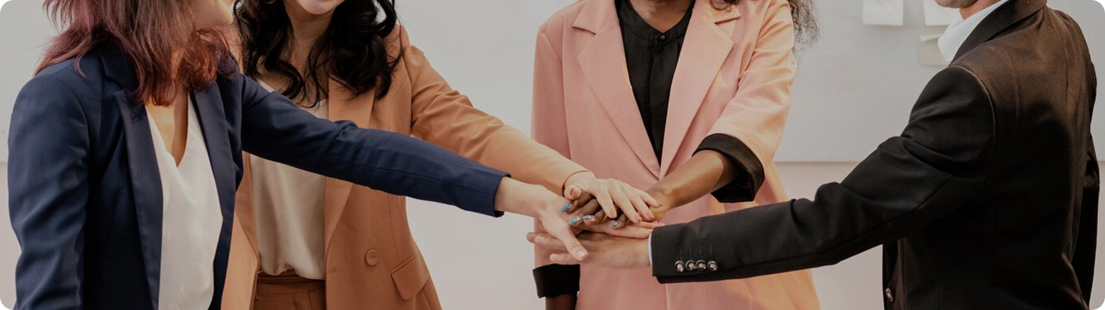 BOVE Channel Partner Program
